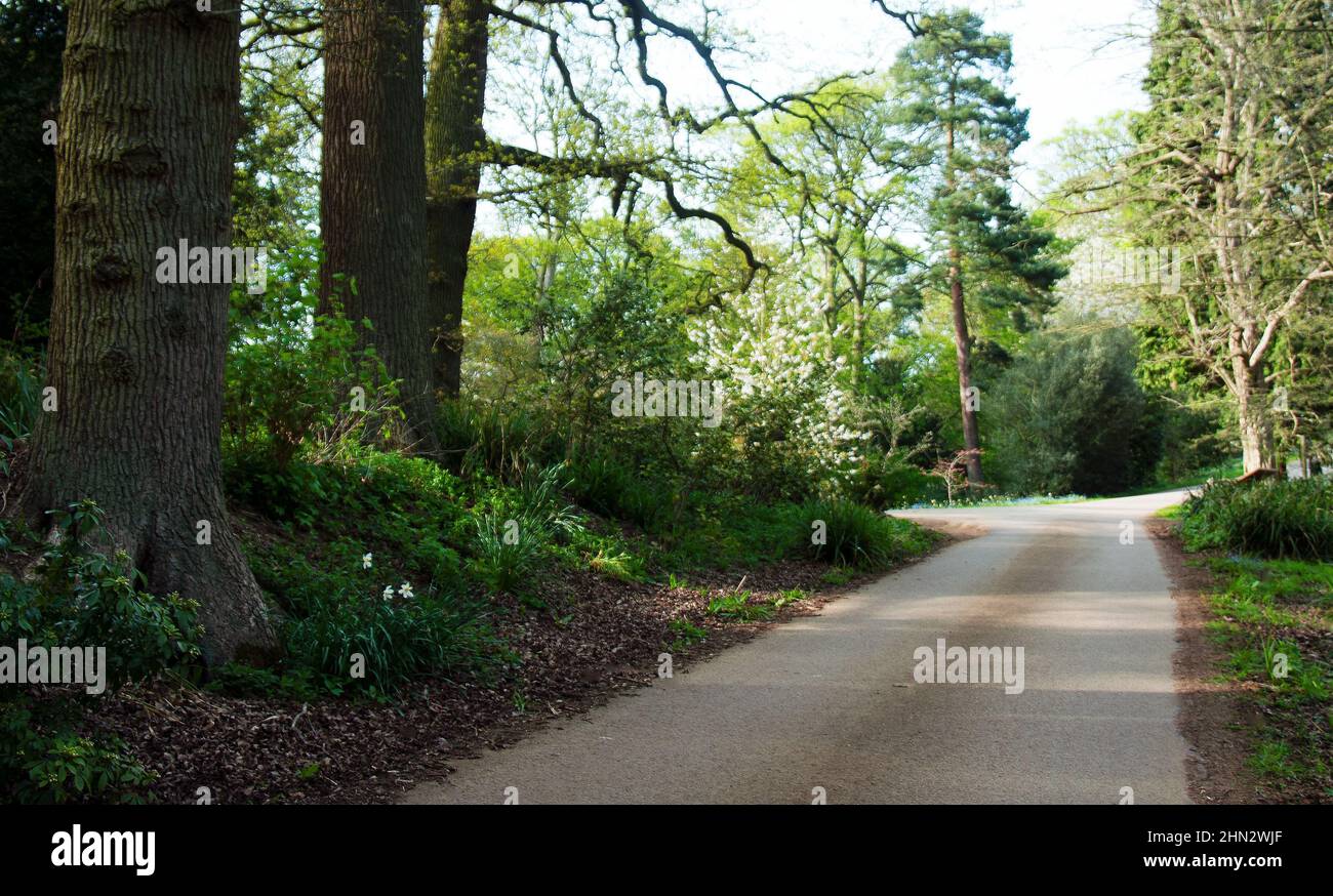 Der Zugang zum Schloss Belvoir im Frühling Stockfoto