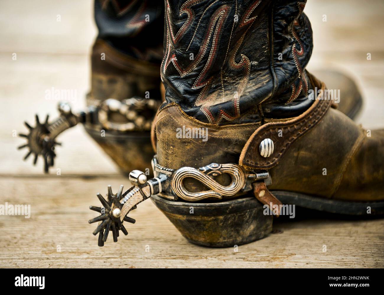 Spurs auf Cowboy, bestickt, Reitstiefel in Wyoming, USA Stockfoto