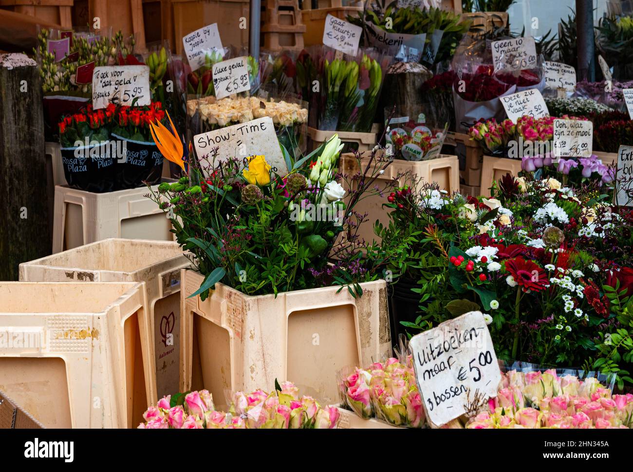 Blumenstand auf einem Straßenmarkt in Haarlem Schalkwijk in den Niederlanden Stockfoto