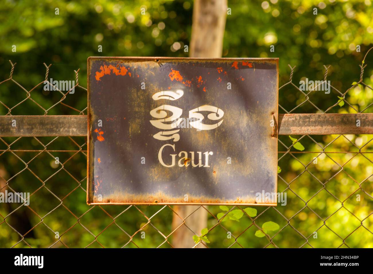 Zweisprachiges 'Gaur'-Schild, Phnom Tamao Wildlife Rescue Centre, Takeo Province, Kambodscha. Quelle: Kraig lieb Stockfoto