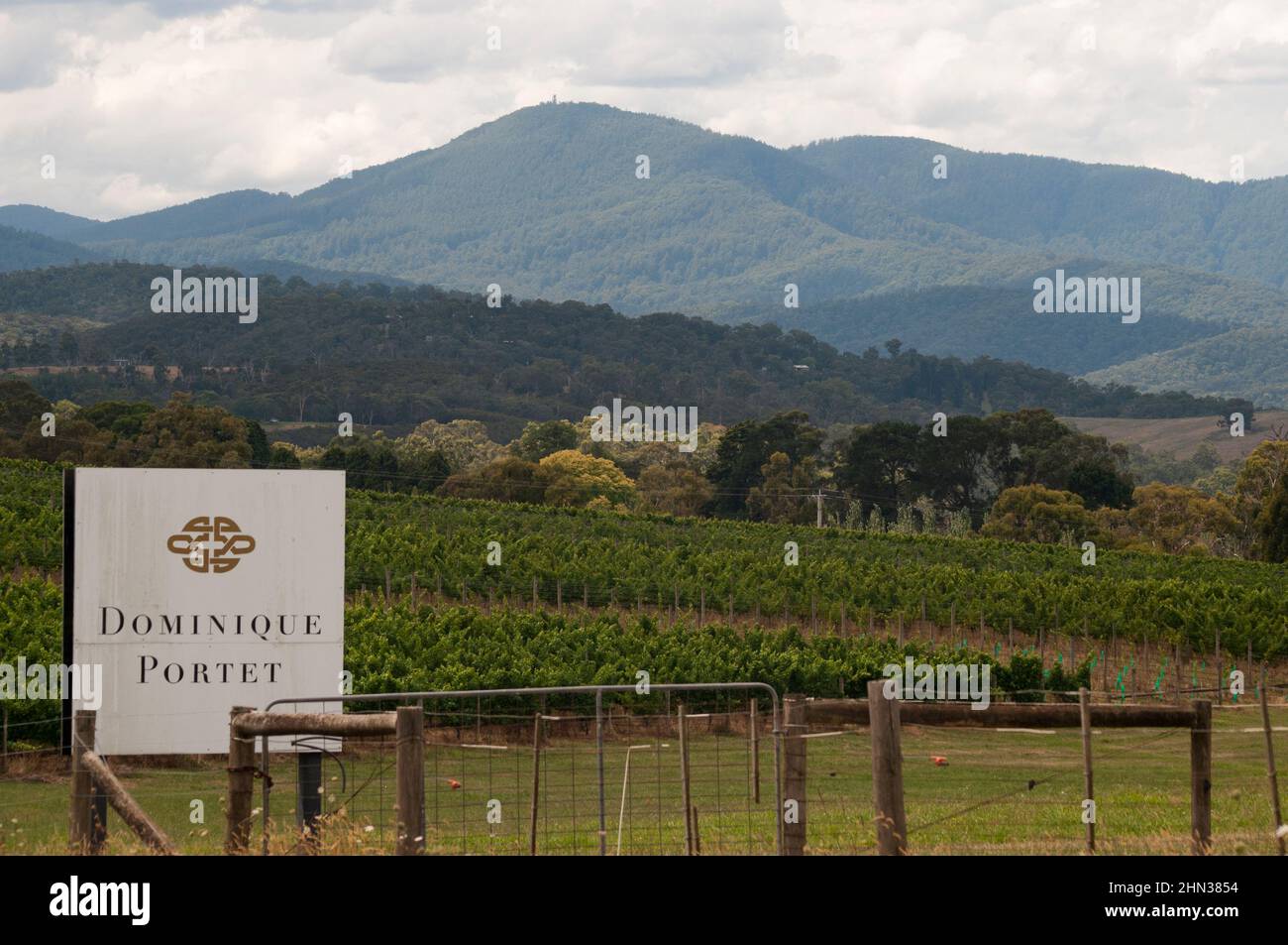 Weingut Dominique Portet im Yarra Valley, Victoria, Australien Stockfoto
