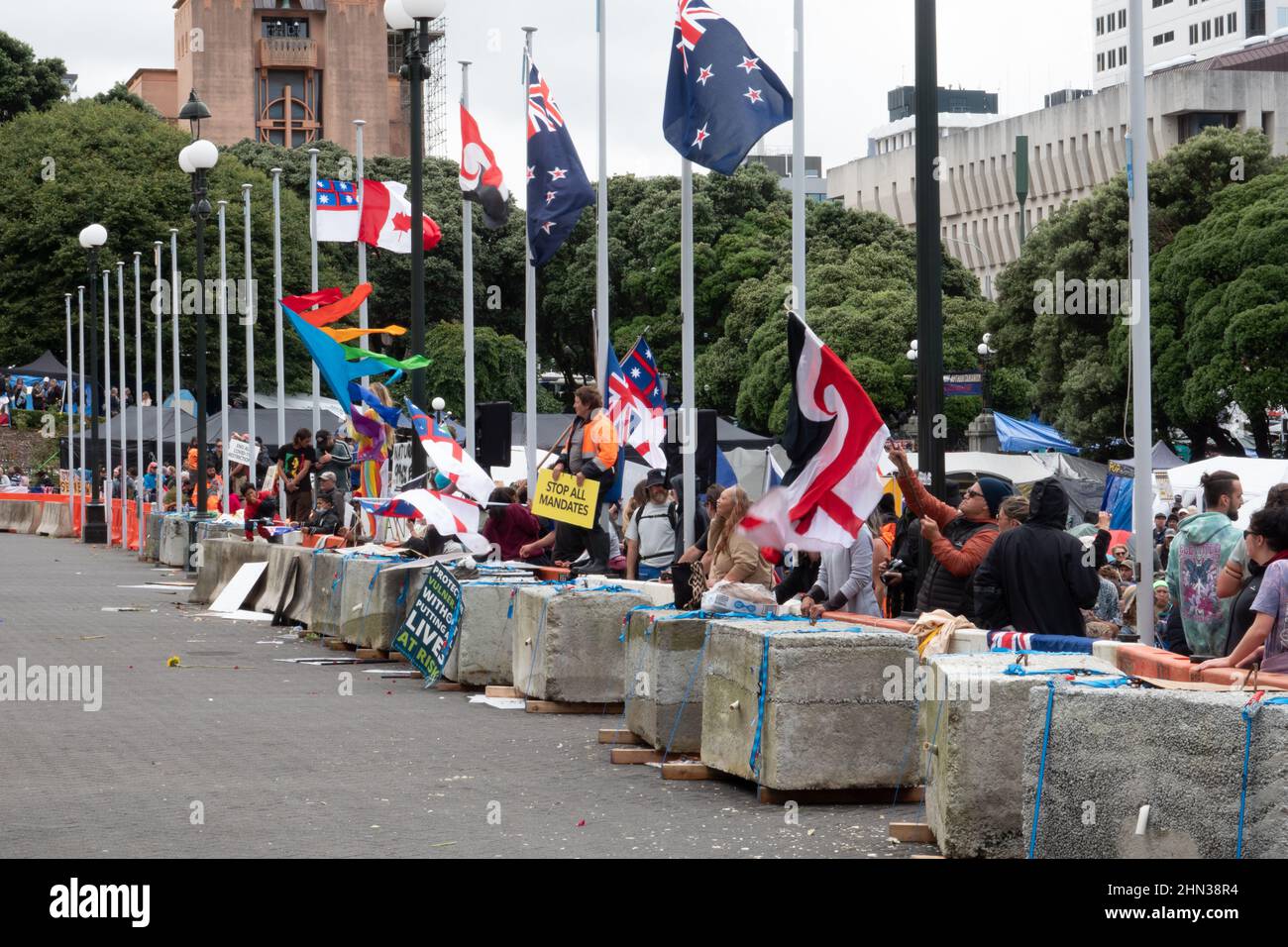 Menschenmenge, die vor dem parlament in Wellington, Neuseeland, gegen kovidierte Impfstoffmandate protestiert Stockfoto