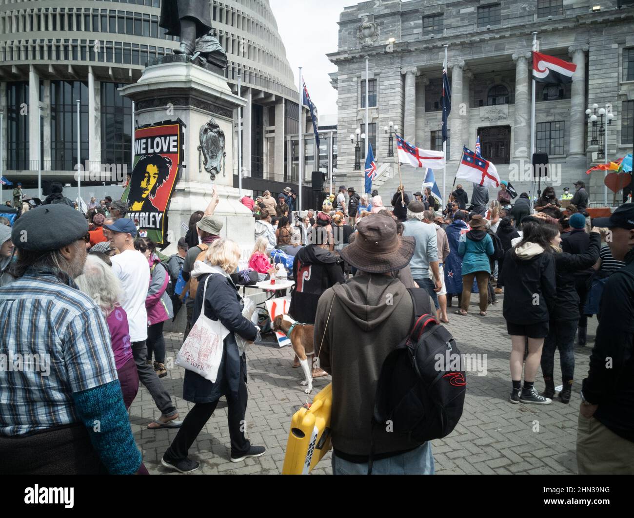 Menschenmenge, die vor dem parlament in Wellington, Neuseeland, gegen kovidierte Impfstoffmandate protestiert Stockfoto