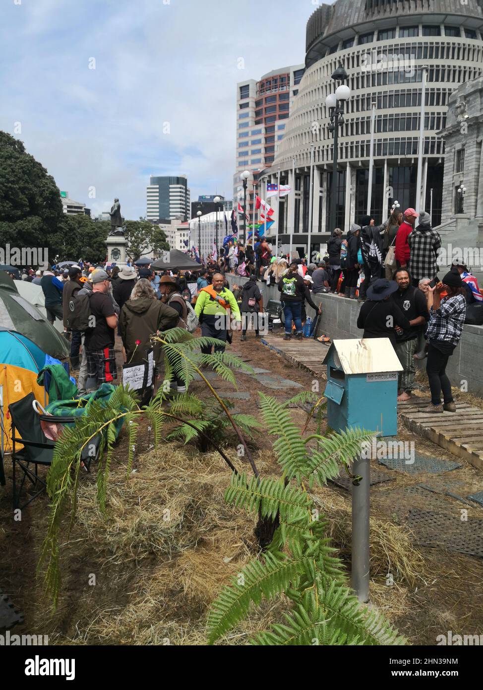 In den Boden gepflanzte Baumfarne, während eine Menschenmenge vor dem parlament in Wellington, Neuseeland, gegen kovidierte Impfstoffmandate protestiert Stockfoto