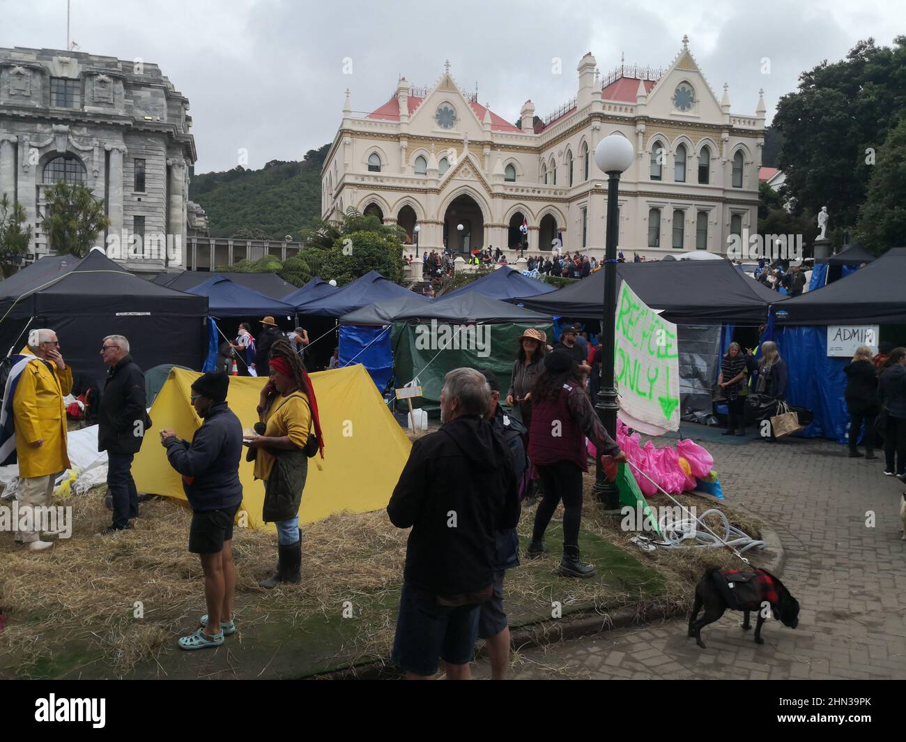Zelte wurden auf dem Gelände vor dem parlament aufgestellt, als eine Menschenmenge in Wellington, Neuseeland, gegen kovidierte Impfstoffmandate protestierte Stockfoto