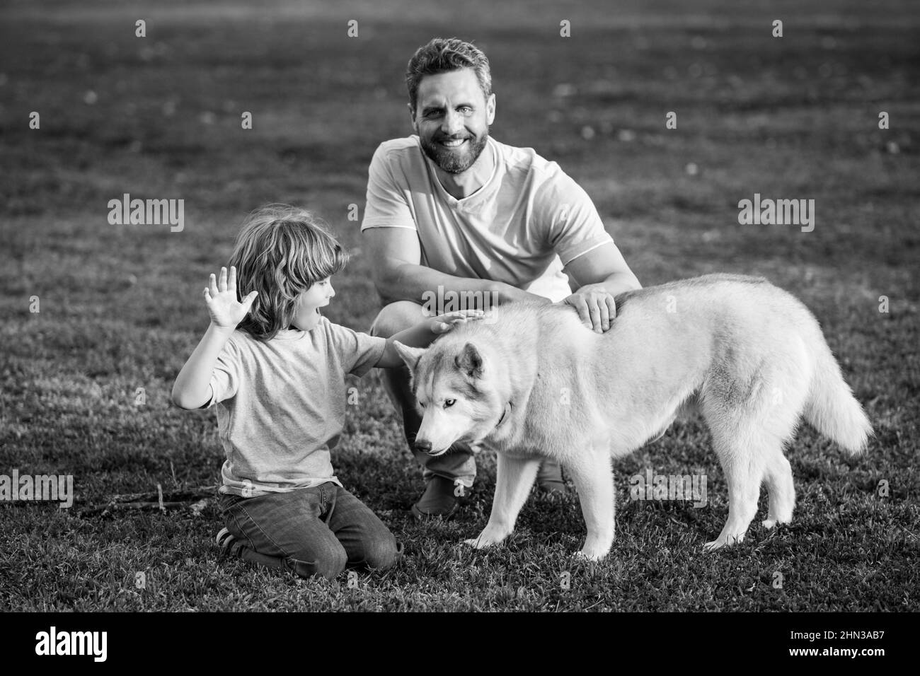 Glückliche Familie hat Spaß mit Hund Husky. Glücklicher Vater und sein Sohn spielen mit Hund im Park. Stockfoto