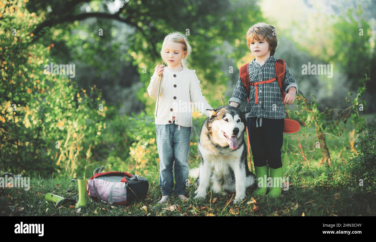 Kleiner Junge und kleines Mädchen auf einem grünen Feld mit seinem Haustier Husky oder Malamute. Sommer auf dem Land. Sommerurlaub. Stockfoto