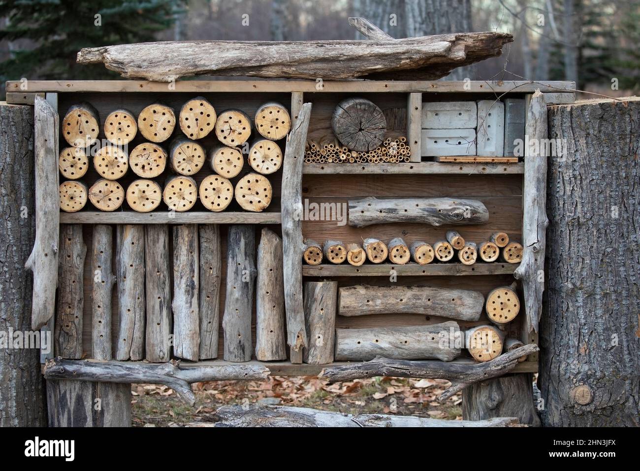 Bienenhaus, ein Lebensraum für Bienen in einem Wald Stockfoto