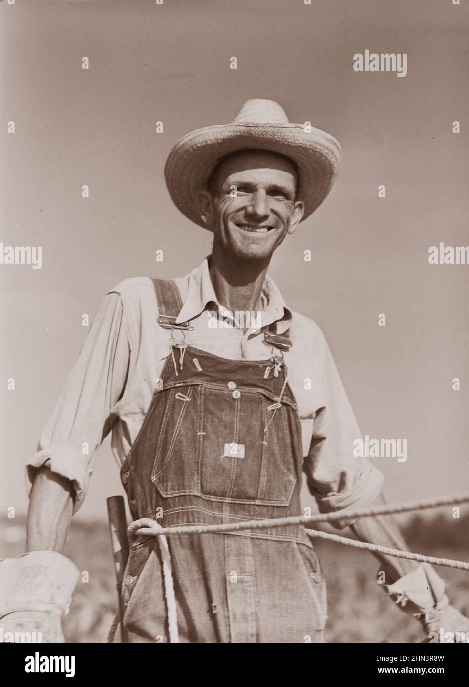 Vintage-Foto des amerikanischen Bauern (W.D. Anglins) kultiviert seinen Mais mit seinen Stuten. Transylvania Project, Louisiana. Von Marion Post Wolcott, p Stockfoto