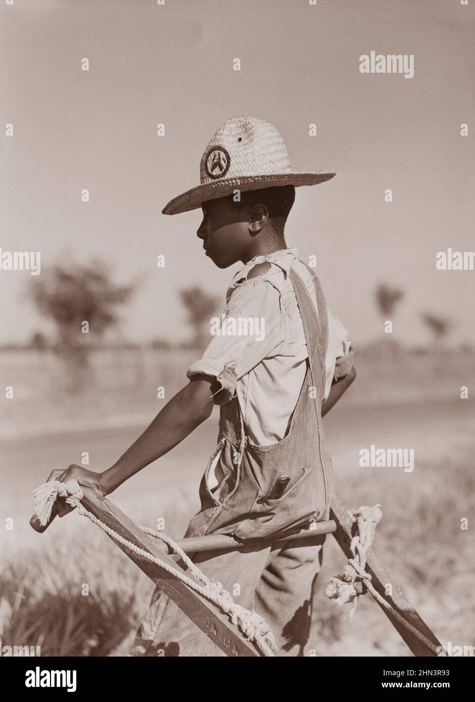 Vintage-Foto von Black American Farmer's Boy. Die Maultiere ruhen aus, die zu heiß werden, wenn die Baumwolle im Hochsommeranbau hoch ist. King und Anderson Stockfoto