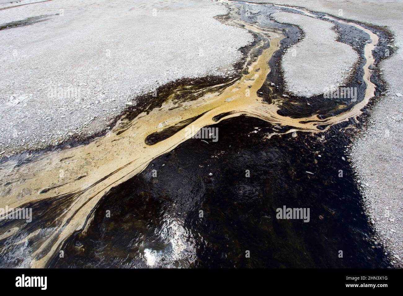 Wirbelsturm Geyser Abfluss, Porcelain Basin, Teil des Norris Geyser Basin, Yellowstone NP, Wyoming Stockfoto