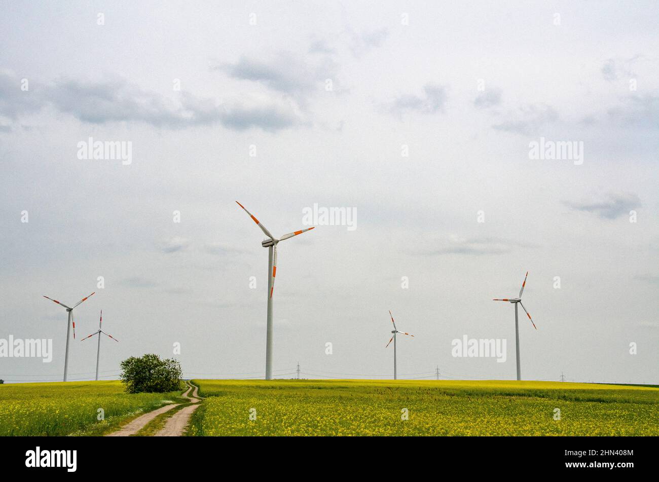 Windturbinen im idyllischen ländlichen Raum, Brandenburg, Deutschland Stockfoto