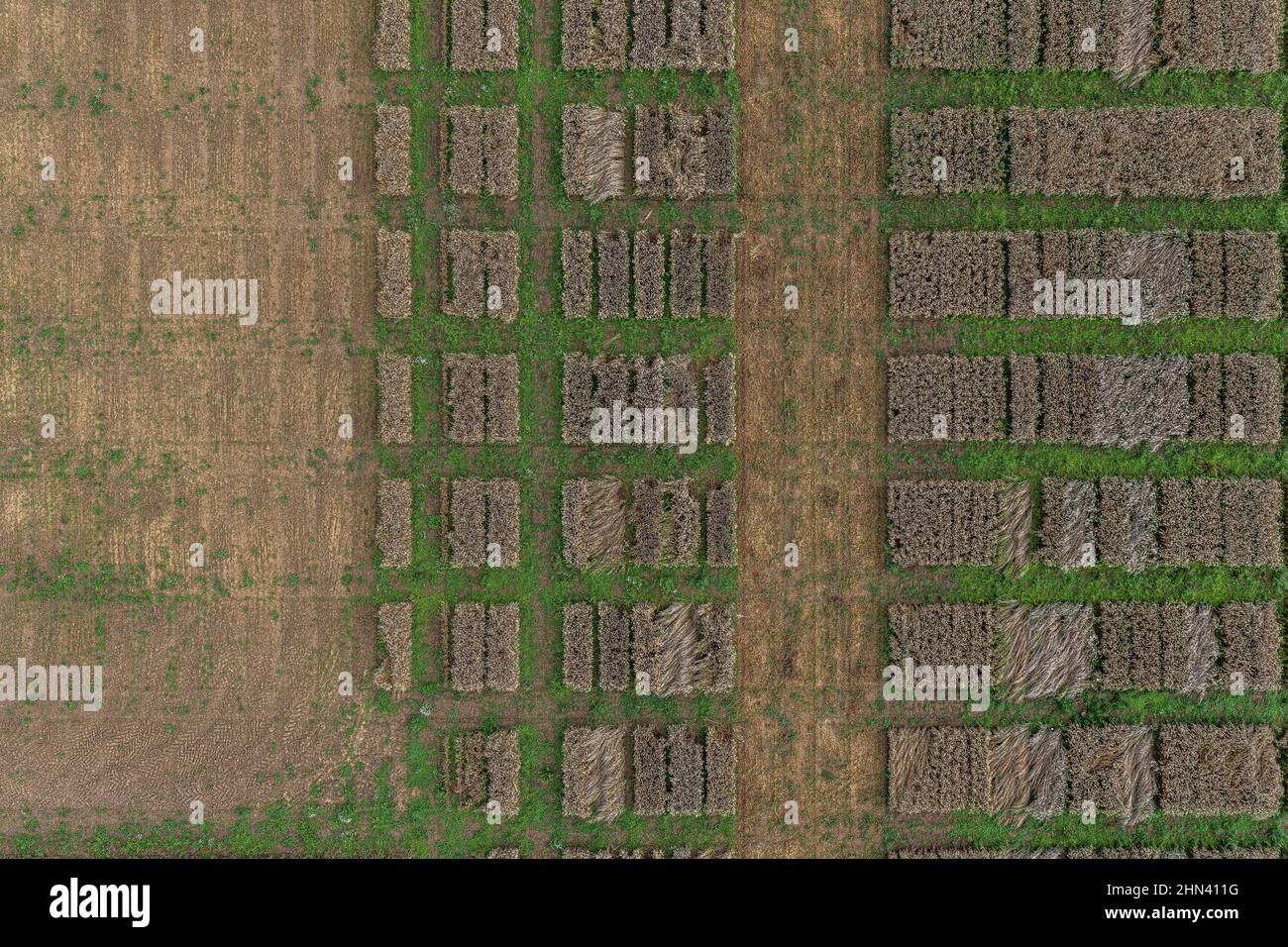 Luftdrohne POV braune Flecken bilden Muster in landwirtschaftlichen Feld Stockfoto