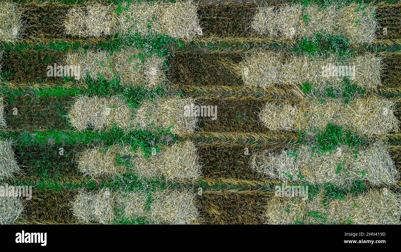 Luftdrohne POV braun und grün Ernte Patches bilden Muster Stockfoto