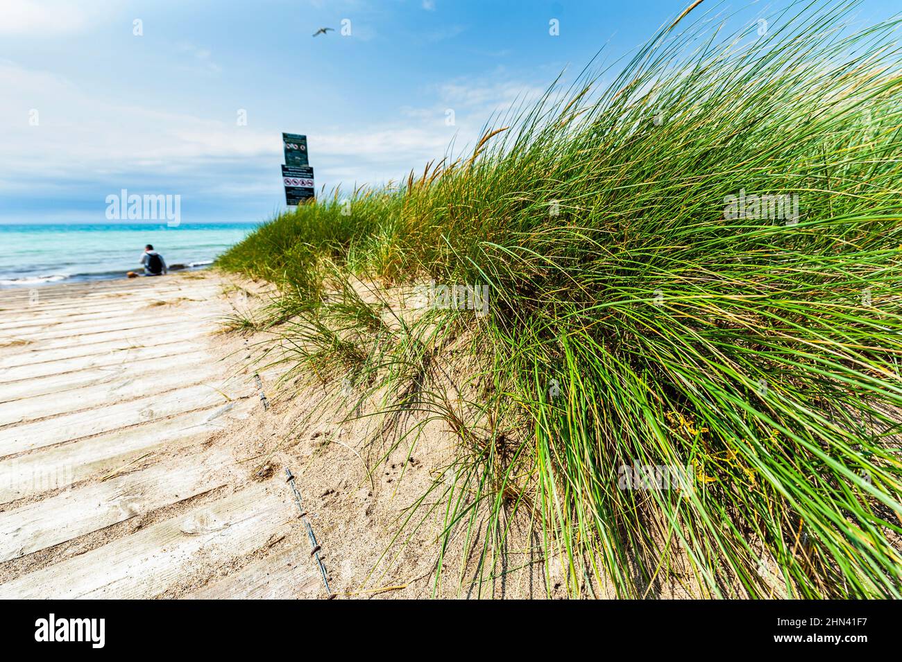 Eine Promenade ermöglicht den Zugang zu einem Strand am Atlantik. Umweltschutzkonzept oder irische Urlaubsdarstellung. Kilmore Beach, County Wexford Stockfoto