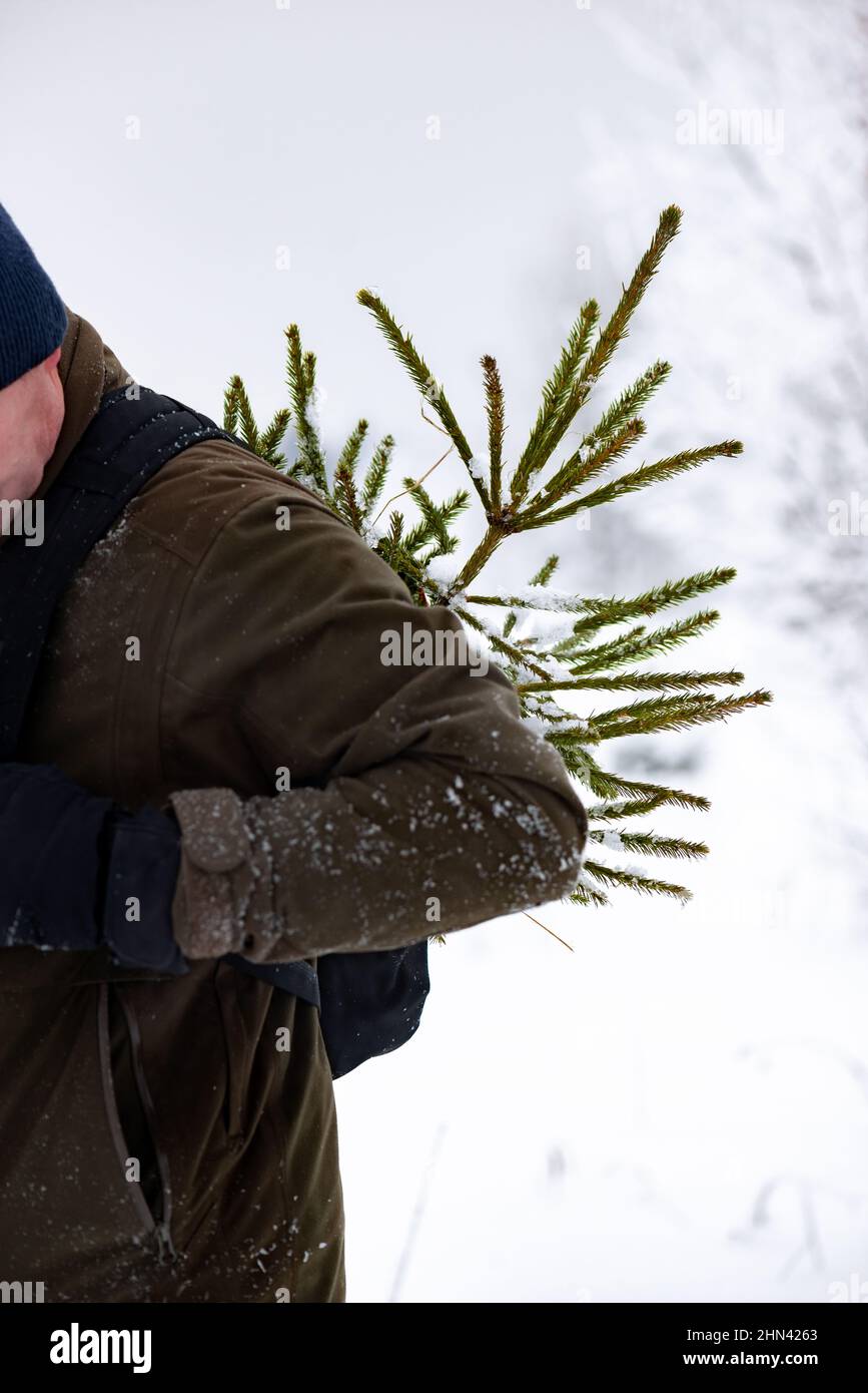 Konzept der Beginn von Feiertagen und Feiern. Vor Weihnachten und Neujahr trägt der Mensch einen kleinen gefällten Baum zu sich nach Hause. Person läuft im Schnee Stockfoto