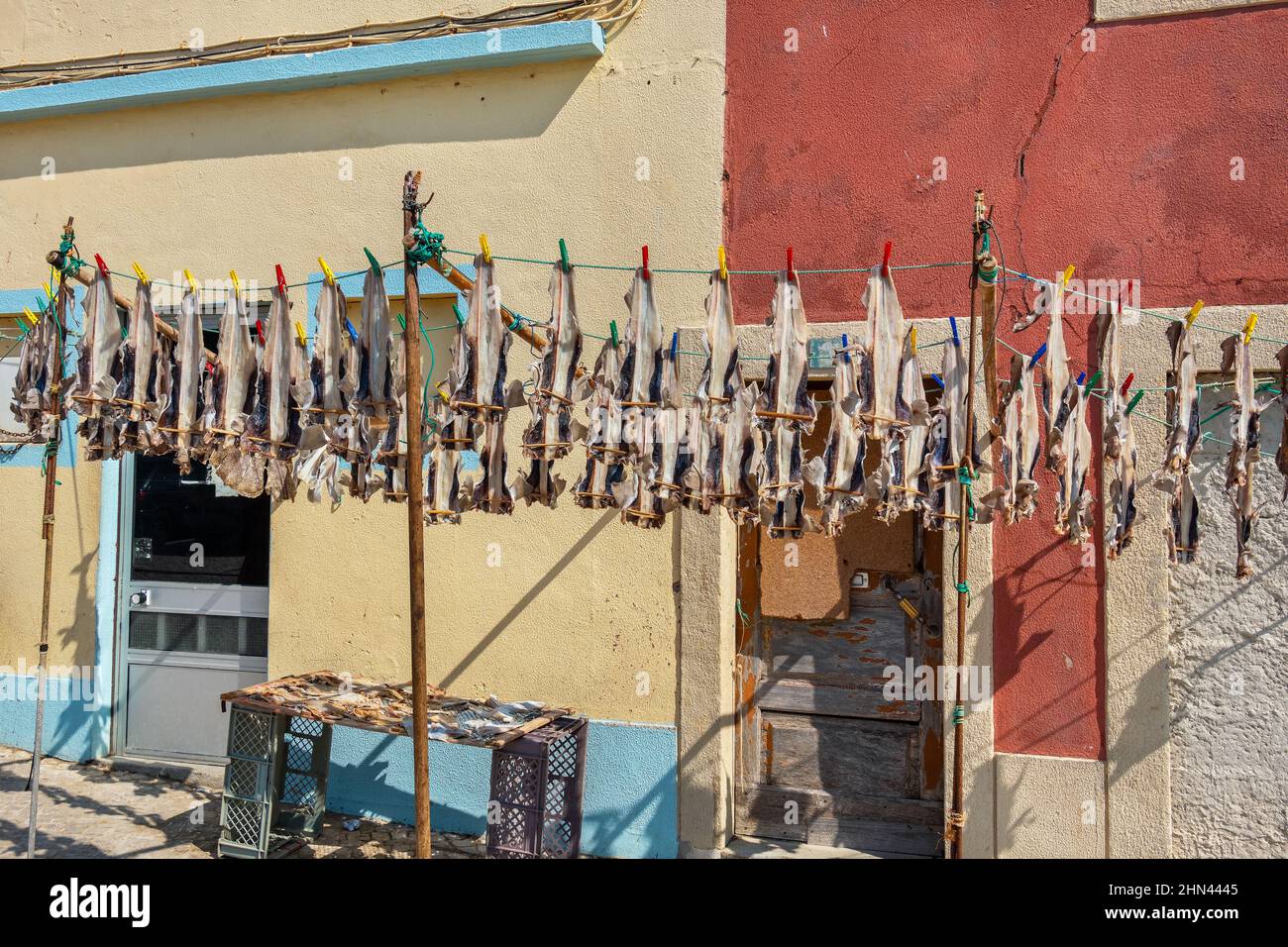 Trocknen von Fischen zur Herstellung traditioneller Stockfische auf Outdoor-Racks in Peniche. Portugal Stockfoto