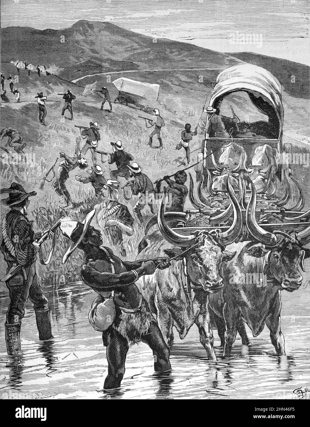 Boers Wagon Caravan oder Wagon Train auf dem Great Trek von Cape Colony ins afrikanische Innere während der 1830s, Südafrika. Vintage Illustration oder Gravur 1881 Stockfoto