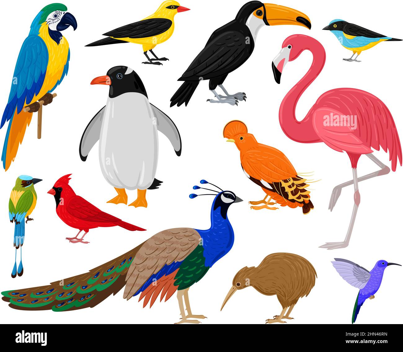 Cartoon tropische exotische Vögel, Papagei, Tukan, Pinguin und Flamingo. Exotische Fauna Kolibri, Kiwi und Pfau Vektor Illustration Set. Wild Stock Vektor