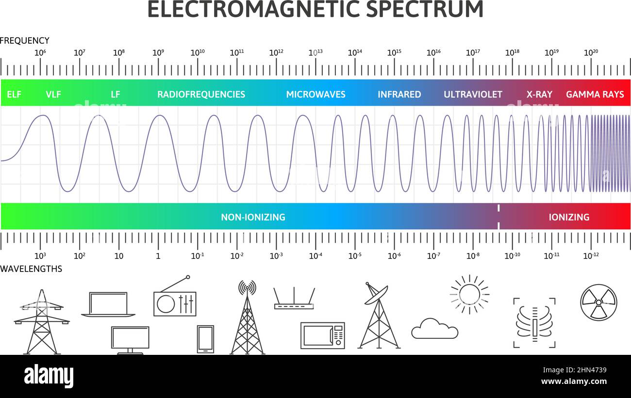 Infografik zum elektromagnetischen Spektrum, Diagramm der magnetischen Wellenlängen. Physik magnetische Strahlung Wellen Vektor-Illustration. Diagramm des elektromagnetischen Stock Vektor