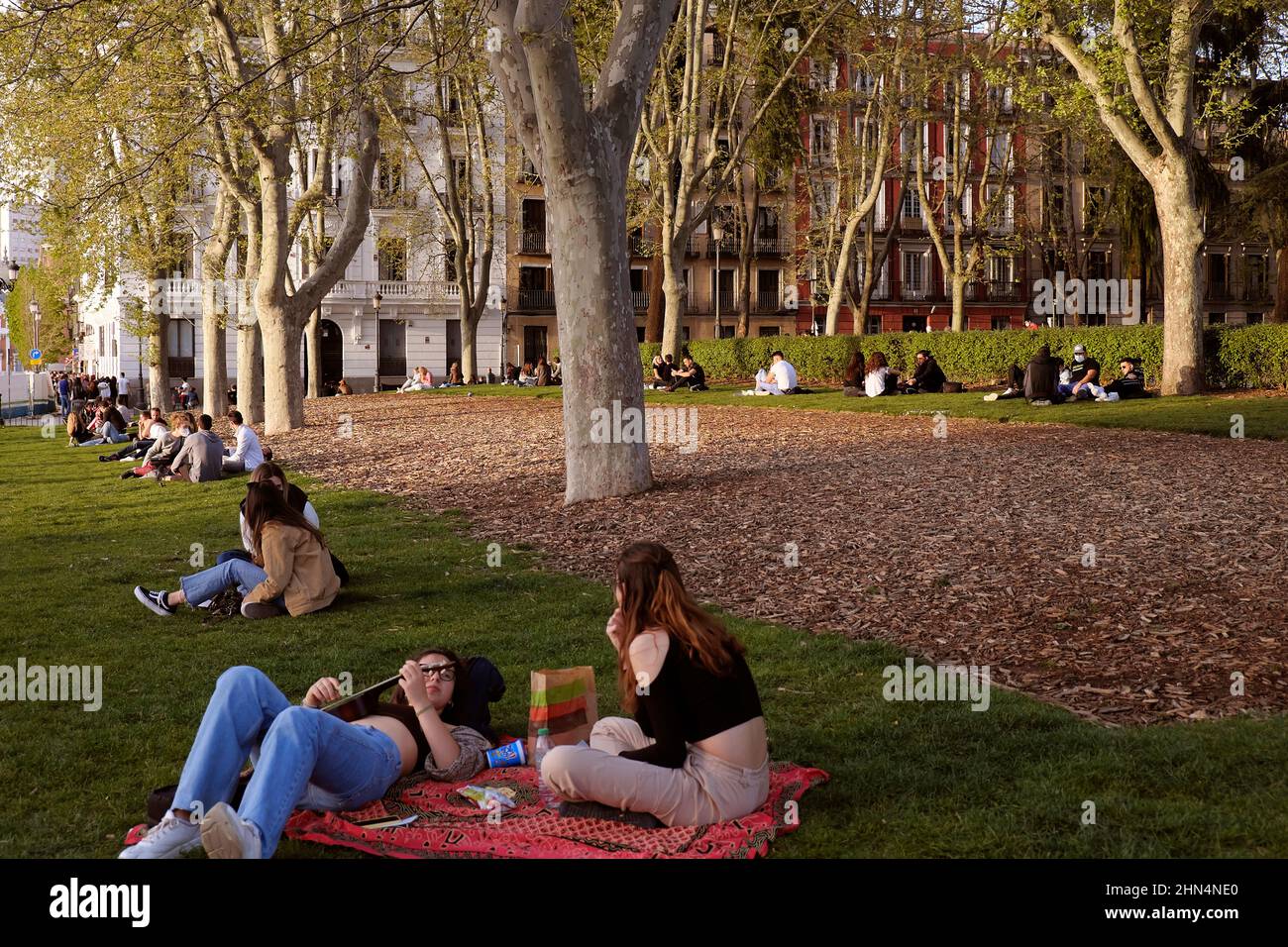 Junge Leute sitzen auf dem Gras. Plaza de Oriente, Madrid. Stockfoto