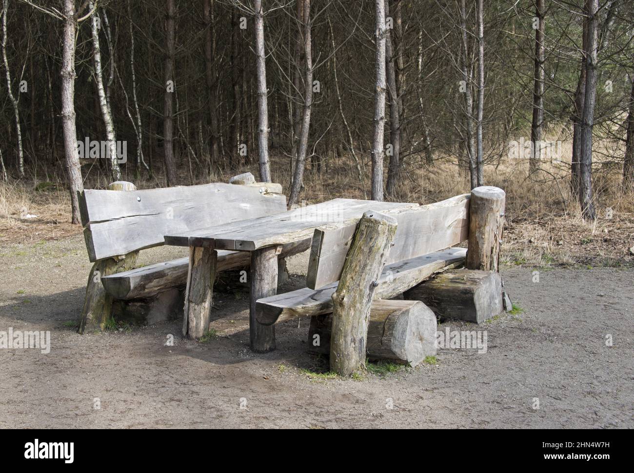 Holzplatz zum Ausruhen im Wald Stockfoto