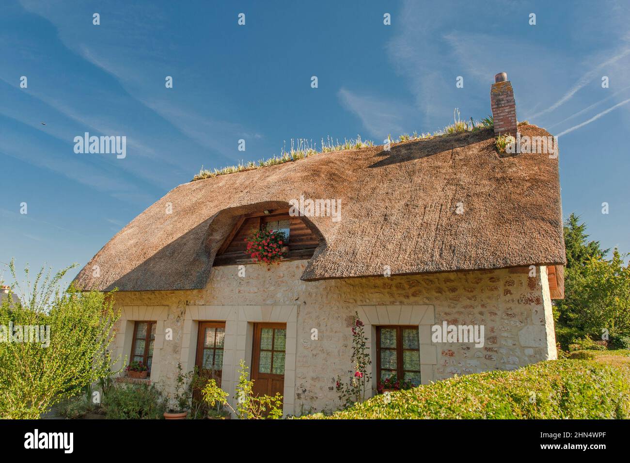 Im Marais Vernier führt die Route des chaumières zu Hütten mit traditionellen Dächern, die von Iris-Pflanzen gekrönt sind – ihre Wurzeln helfen, das Stroh, N, zu halten Stockfoto