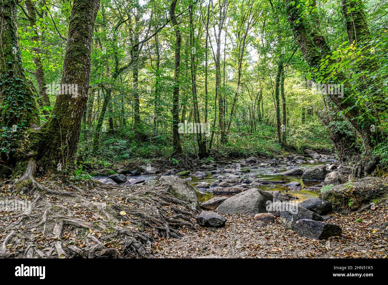 Der Fluss Rouve hat seinen Weg in die Felsen von La Roche d'Oëtre, einer berühmten Klippe der Norrman Schweiz, eingeschlagen Stockfoto