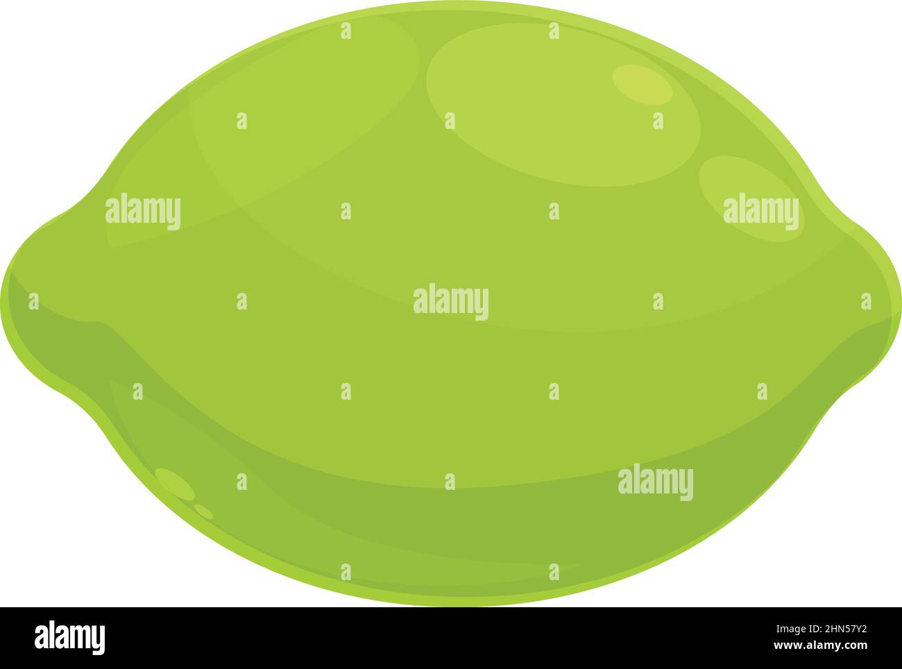 Ganze grüne Limette Symbol Cartoon-Vektor. Schnapsglas. Tequila-Getränk Stock Vektor