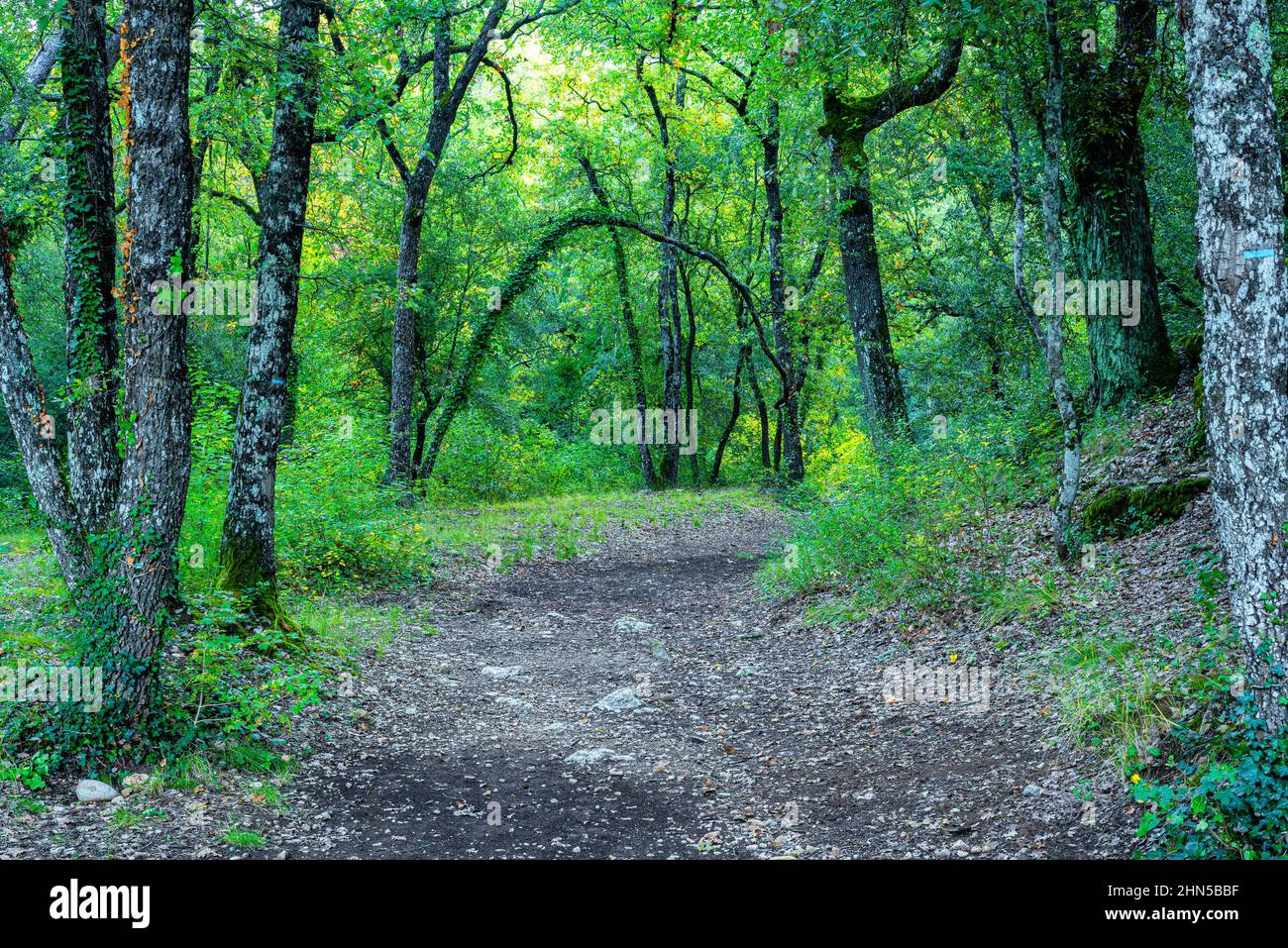 Souce des Nayes, Saint Zacchare, Var France Paca Stockfoto