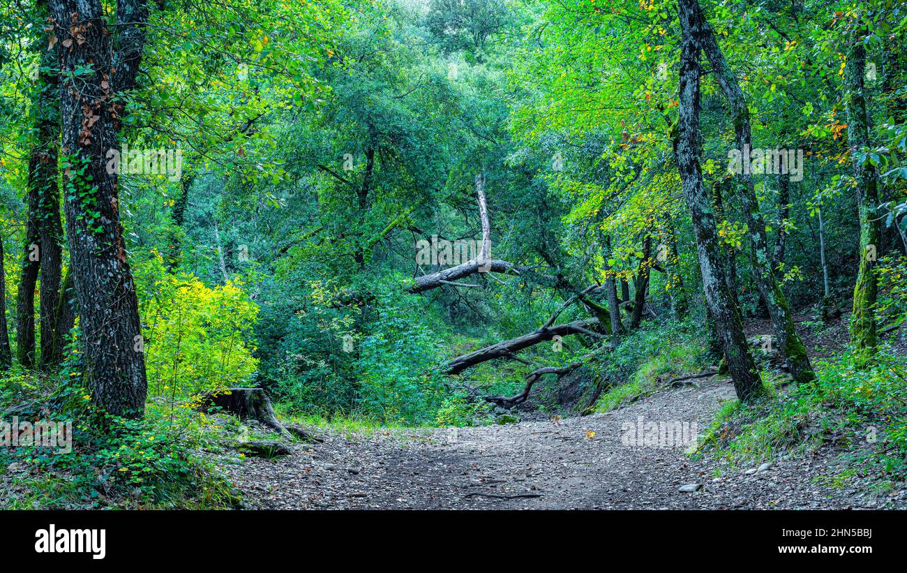Souce des Nayes, Saint Zacchare, Var France Paca Stockfoto