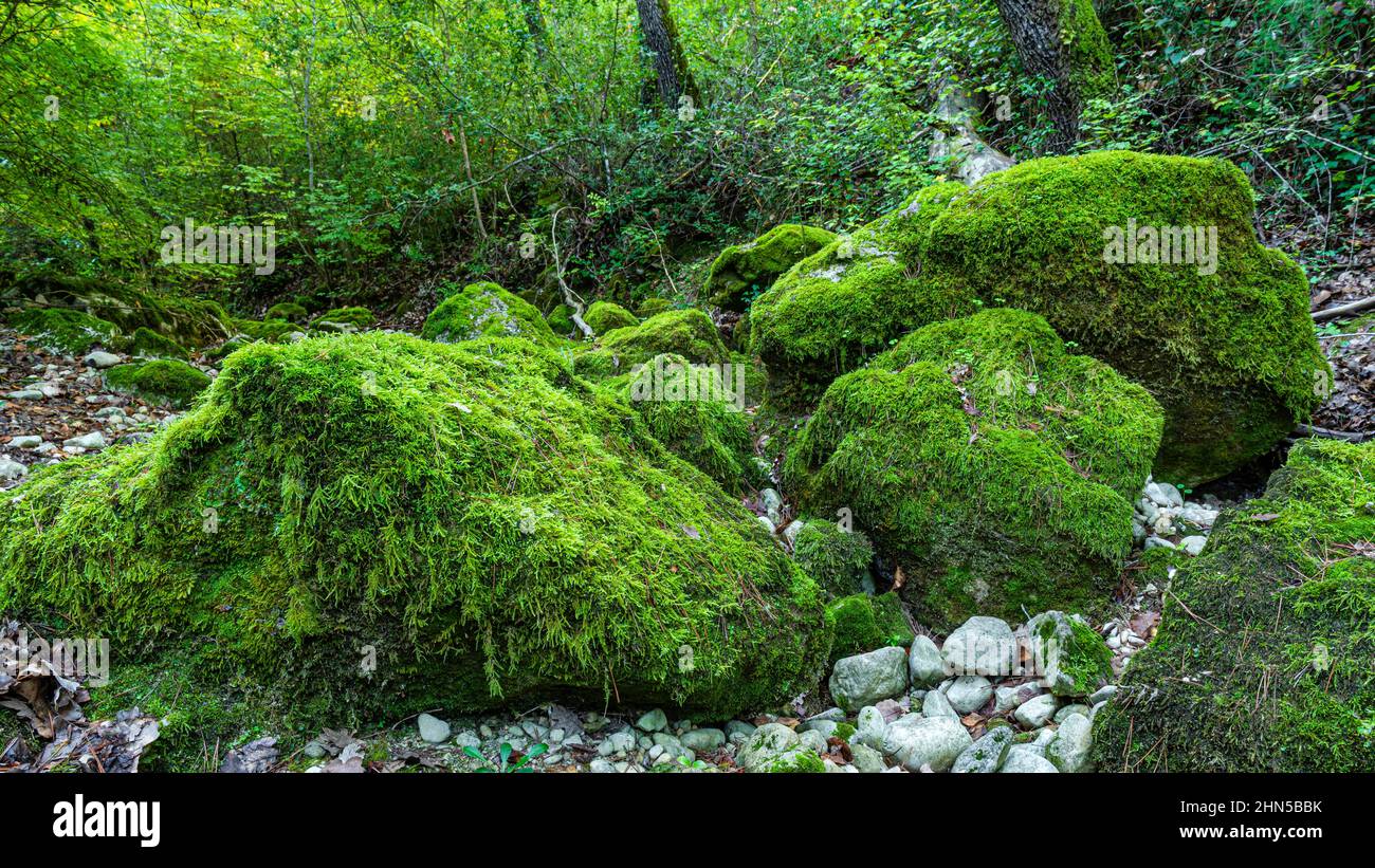 Souce des Nayes, Saint Zacchare, Var France Paca Stockfoto