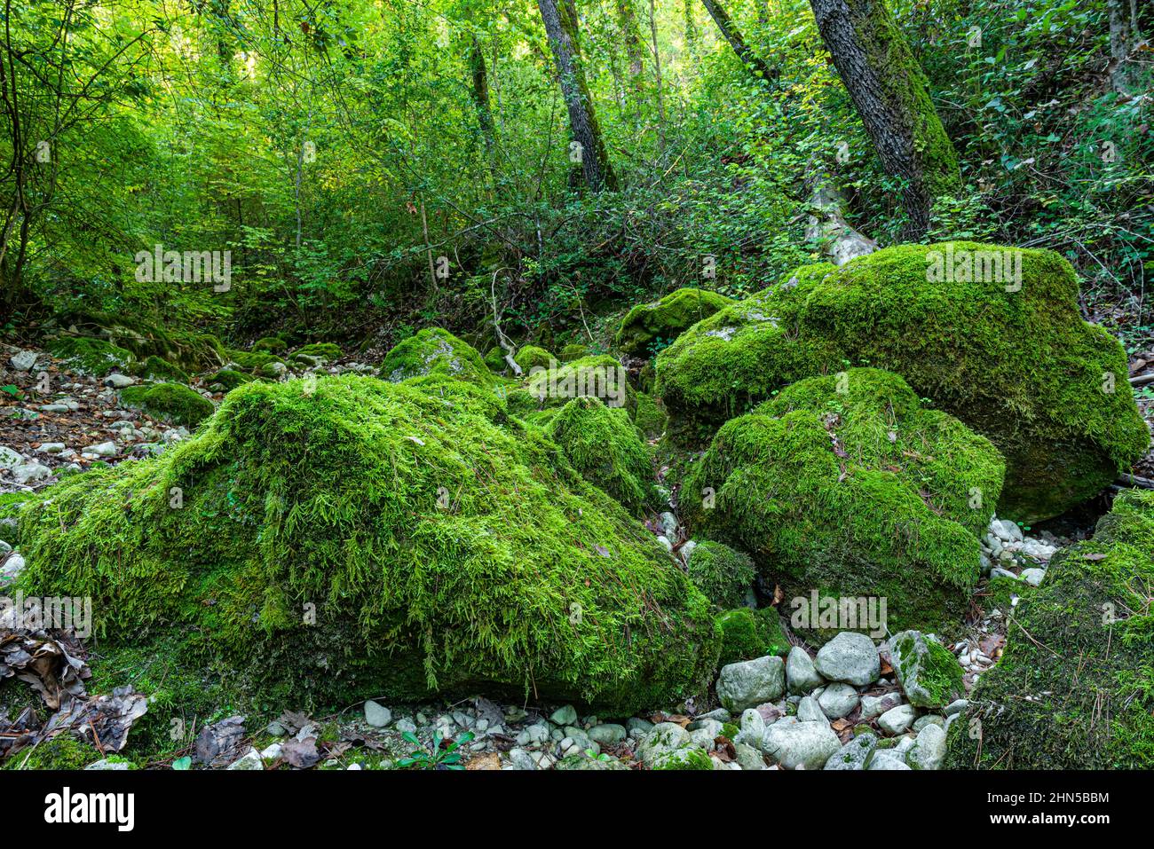 Souce des Nayes, Saint Zacchare, Var France Paca Stockfoto