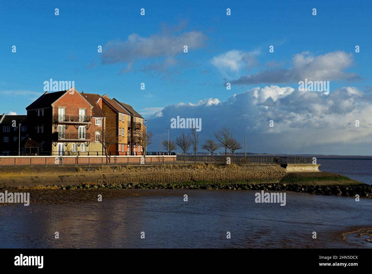 Wohnungen in Victoria Docks, Hull, Humberside, East Yorkshire, England Stockfoto