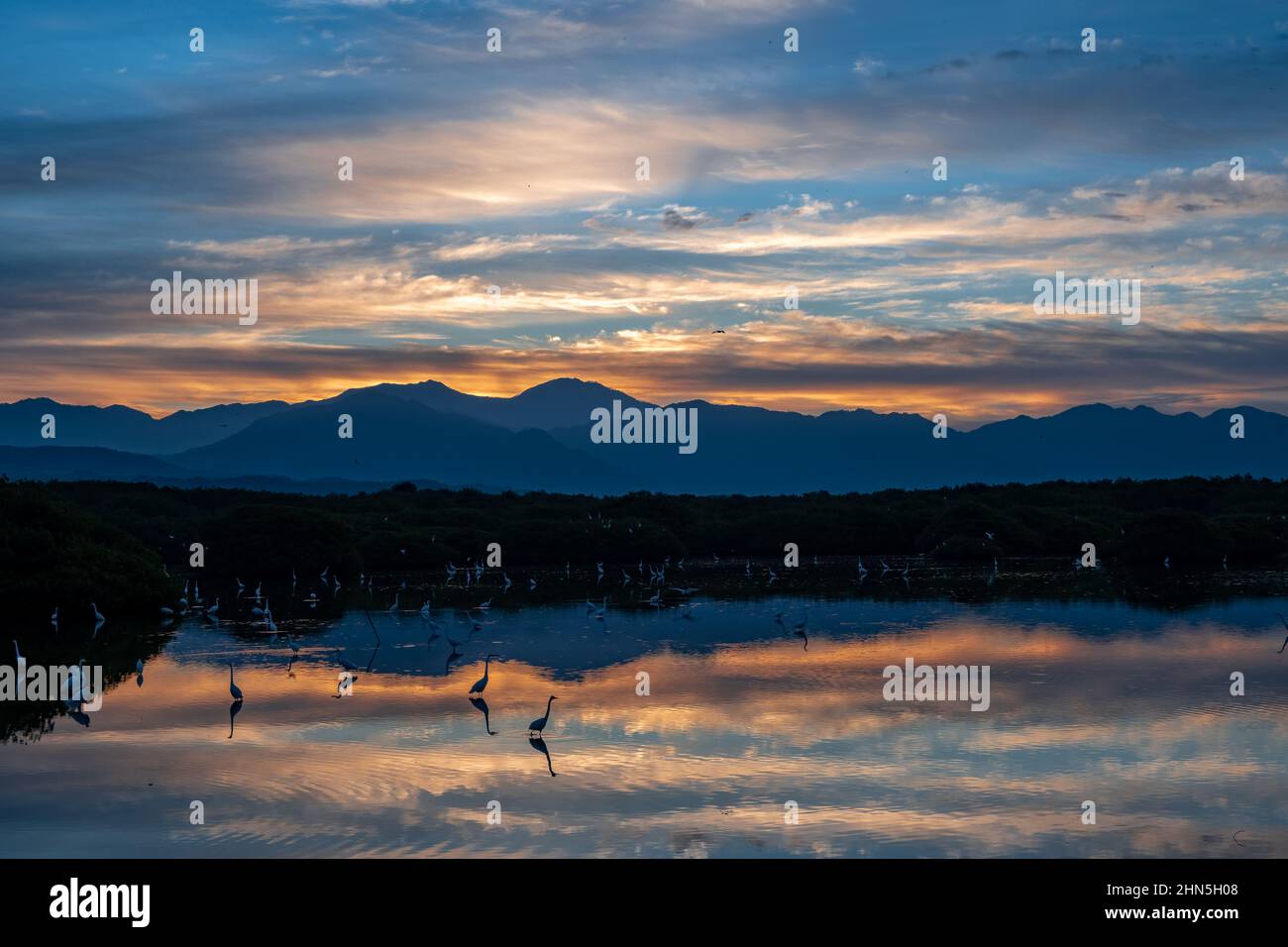 Morgendämmerung an einem See, der mit Wasservögeln gefüllt ist. San Blas, Nayarit, Mexiko. Stockfoto