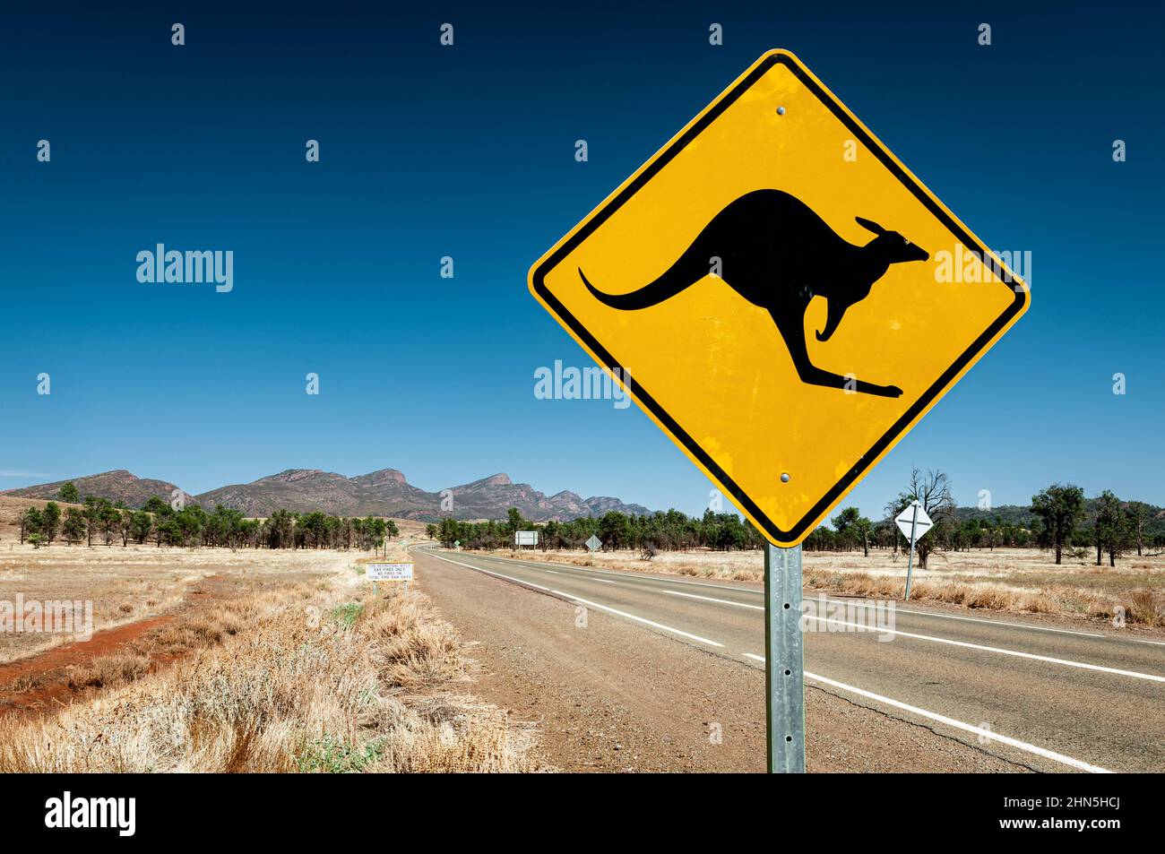 Typisches australisches Straßenschild, das vor dem Überqueren von Kängurus warnt. Stockfoto