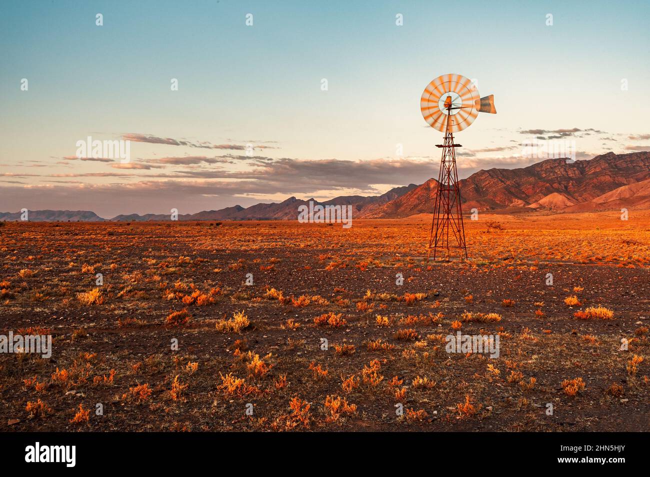 Typische australische Windmühle in den Flinders Ranges. Stockfoto