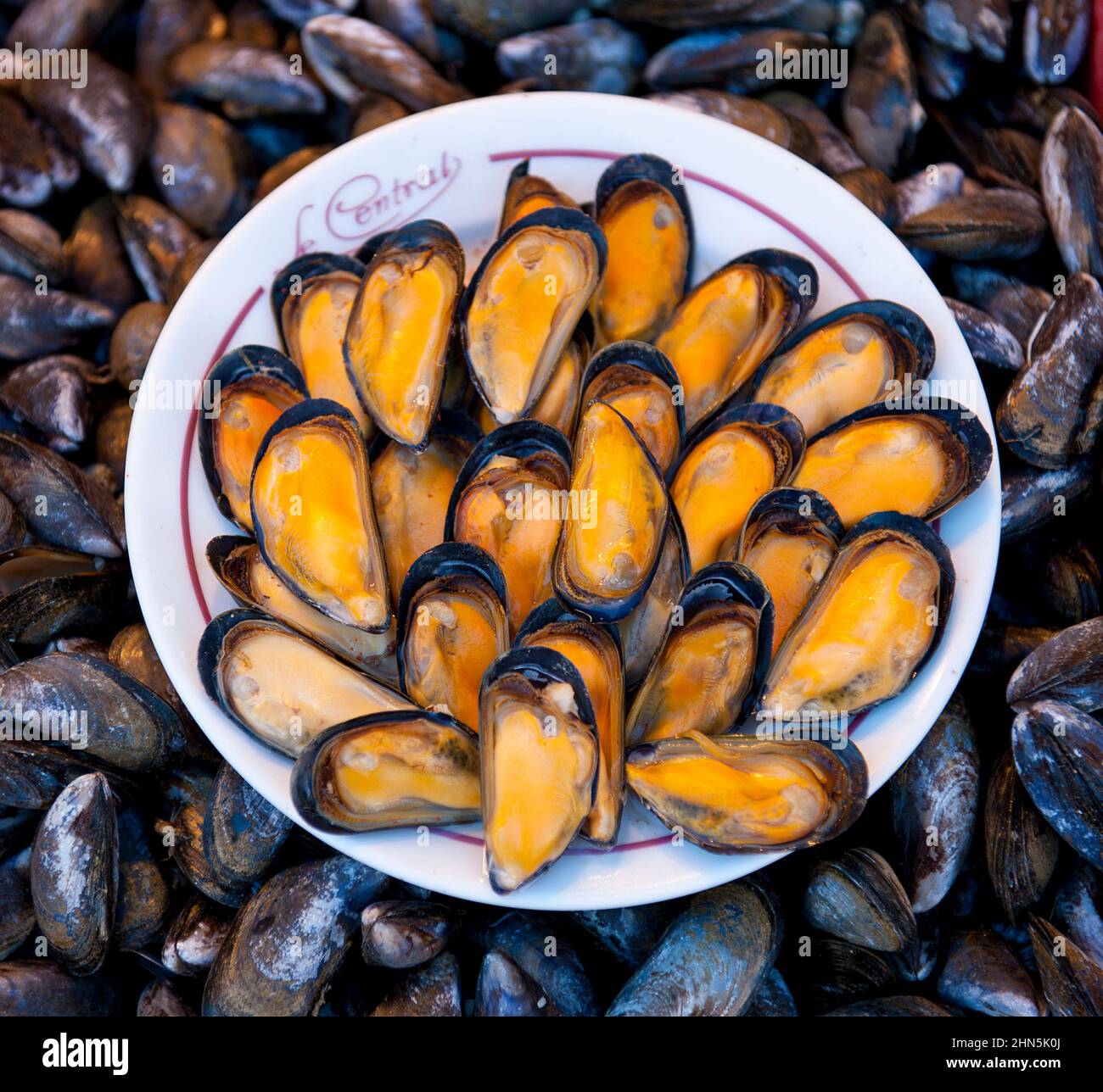 Gedünstete Muscheln werden in der poissonnerie von Trouville, Normandie, Frankreich, verkauft Stockfoto