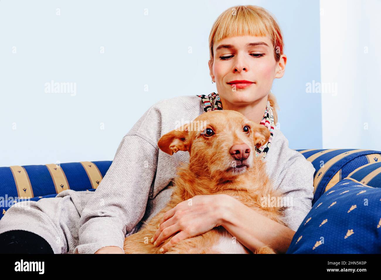 Ingwer-Hündin sitzt auf der Couch und schaut nach unten, während sie sich mit einem niedlichen Hund mit rotem Fell zu Hause ausruht Stockfoto