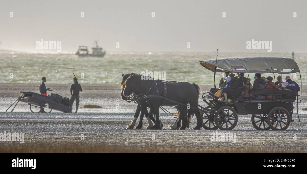 Calèche, chevaux, chasseurs et bateau dans la baie de Somme. randonnée dans la baie. Stockfoto