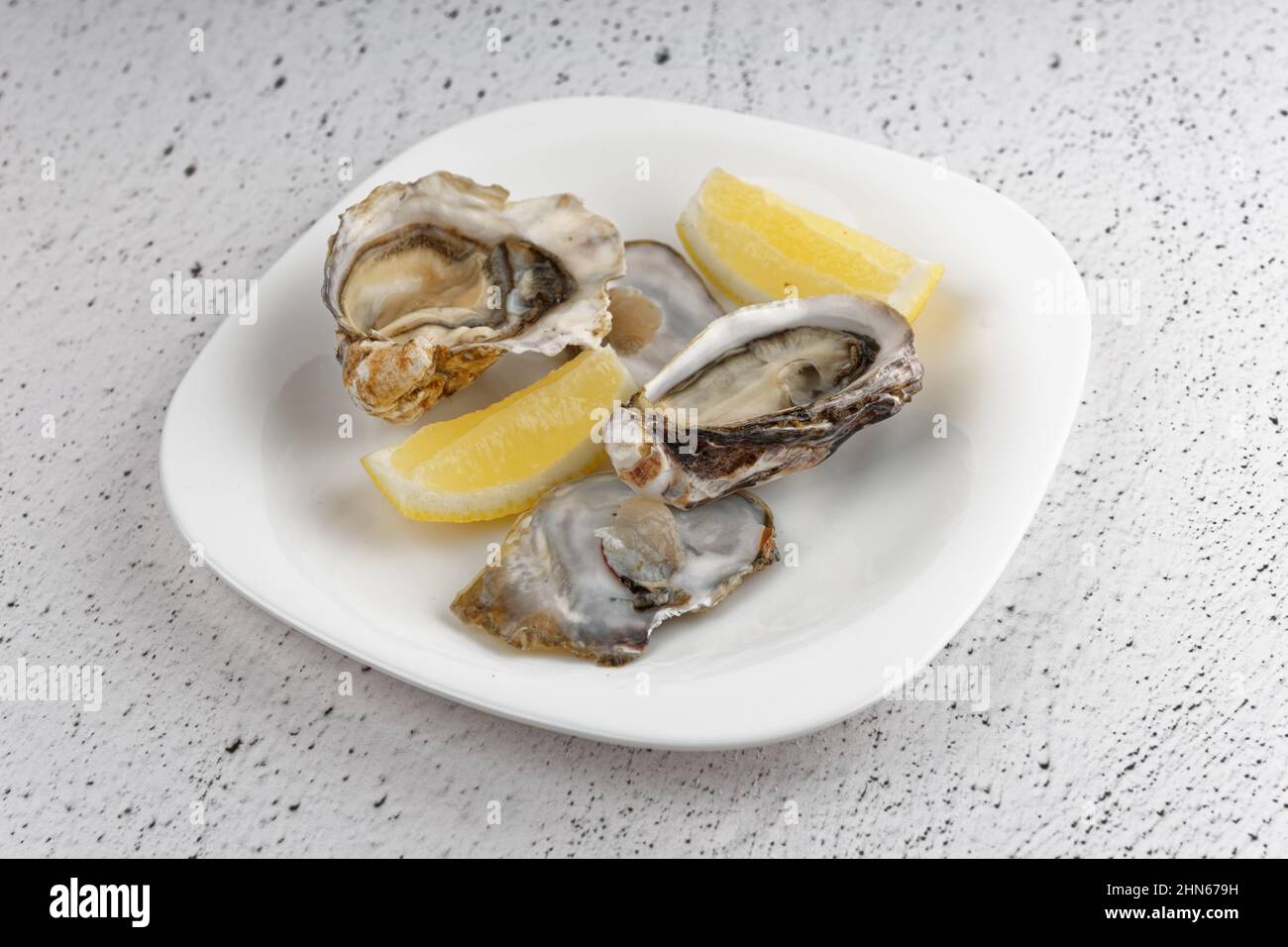 Austern in Platte auf grauem Betongrund Stockfoto