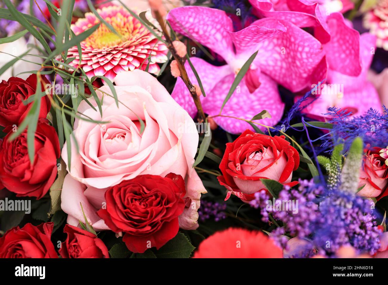 Fotos mit einem Blumenstrauß oder Strauß für den Valetines Day, bestehend aus Rosen, Orchideen und anderen Blumen. Stockfoto