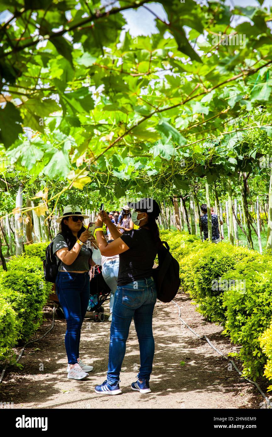 LA UNION, KOLUMBIEN - NOVEMBER 2021. Touristen besuchen den Nationalpark Grape in der Gemeinde La Union in der Region Valle del Cauca in Col Stockfoto