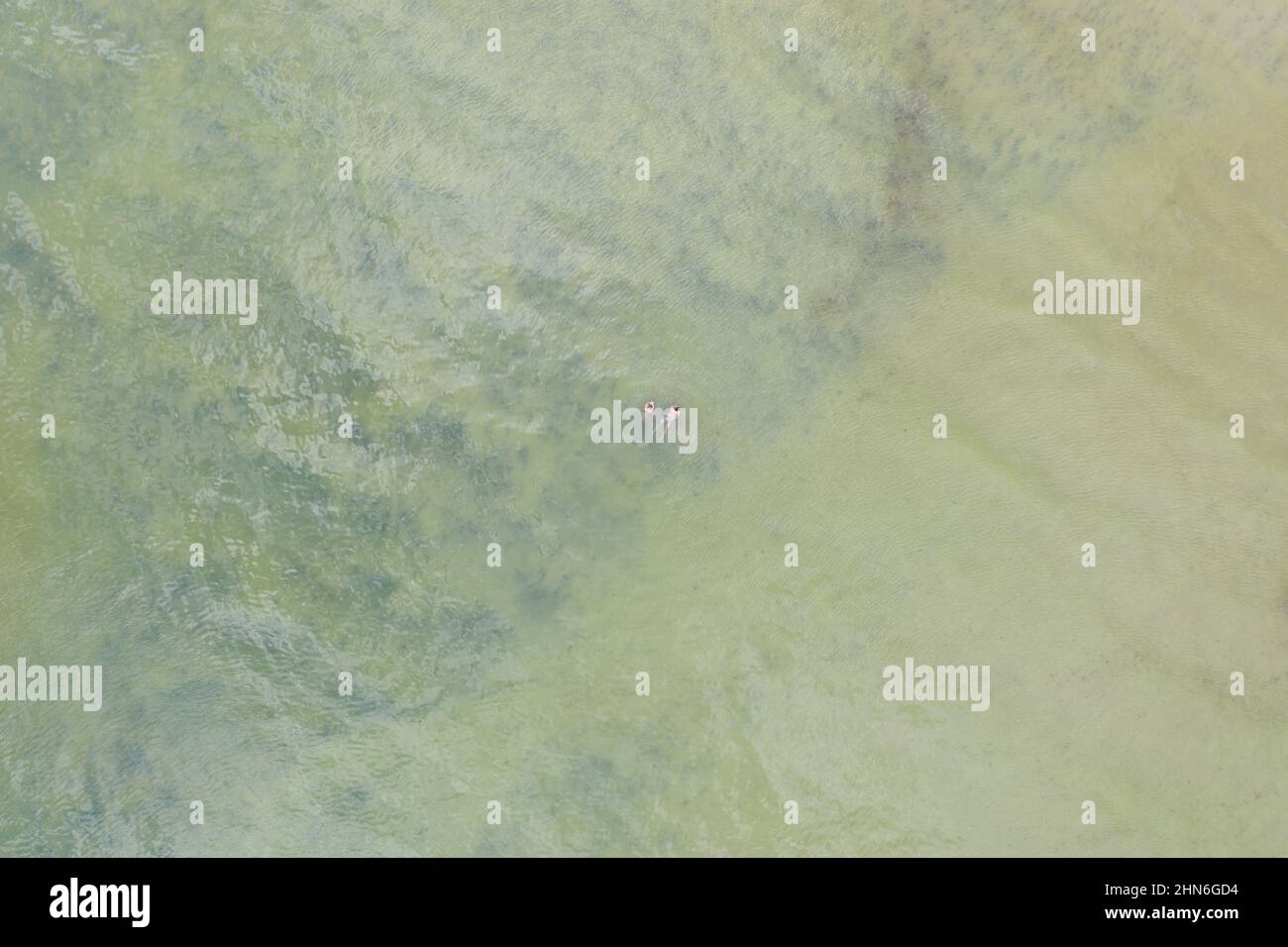 Luftaufnahme von zwei Menschen, die in Cape Cod Bay schweben Stockfoto