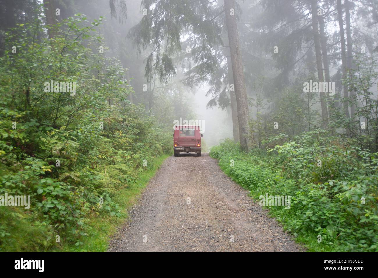 Geländewagen fährt unter nebligen Bedingungen durch den Wald Stockfoto
