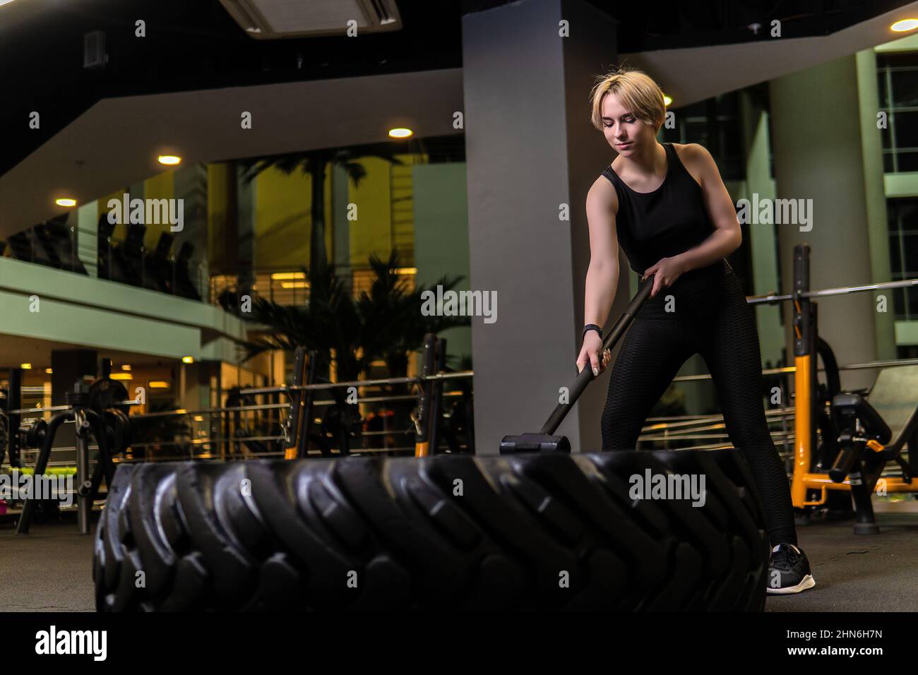 Rad mit Vorschlaghammer Mädchen steht Reifen muskuläre Fitness, am Nachmittag Ausstattungstraining von Bodybuilder Schlitten Gesundheit, urning Muskeln. Zöpfe Stockfoto