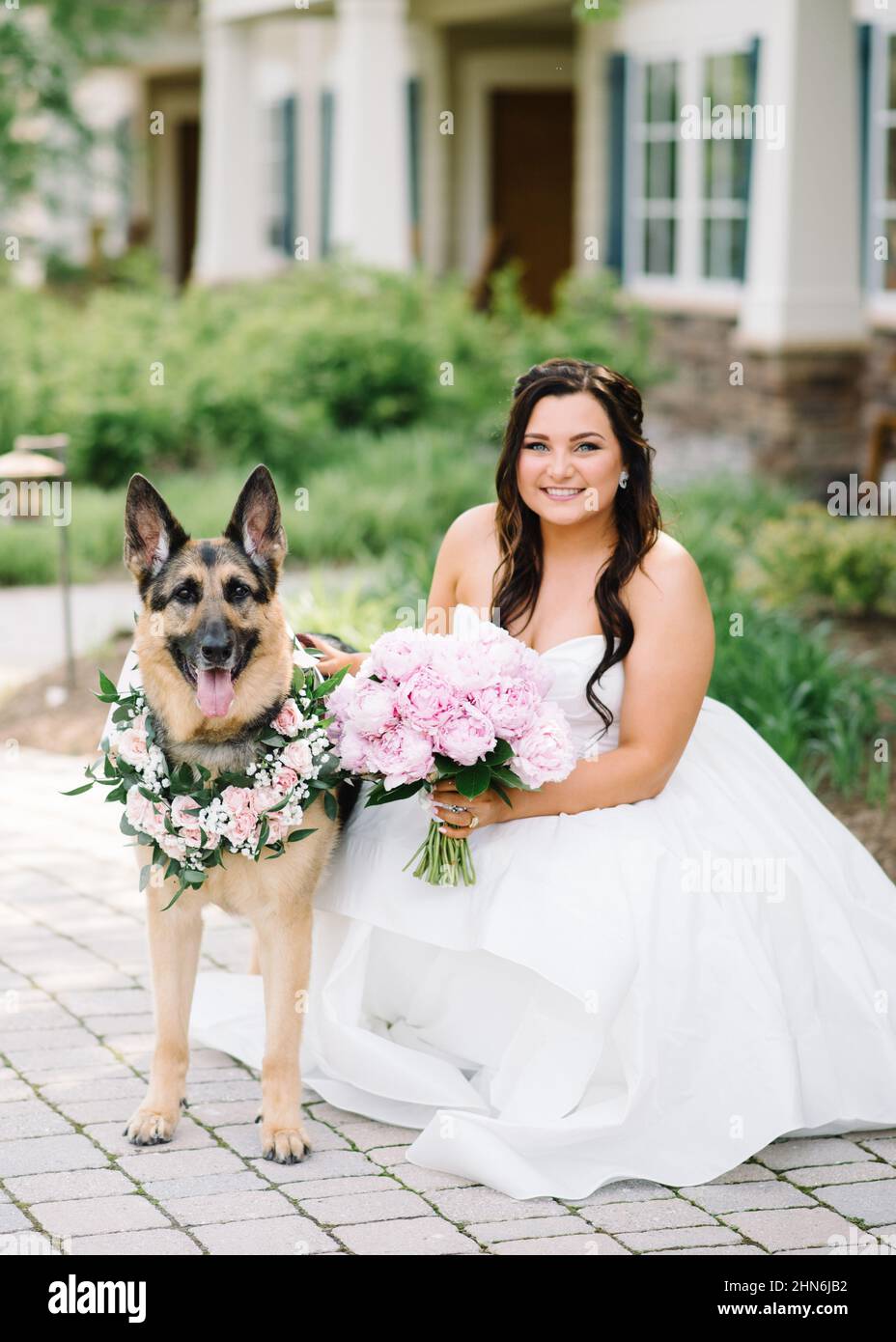 Braut und Schäferhund am Hochzeitstag Stockfoto