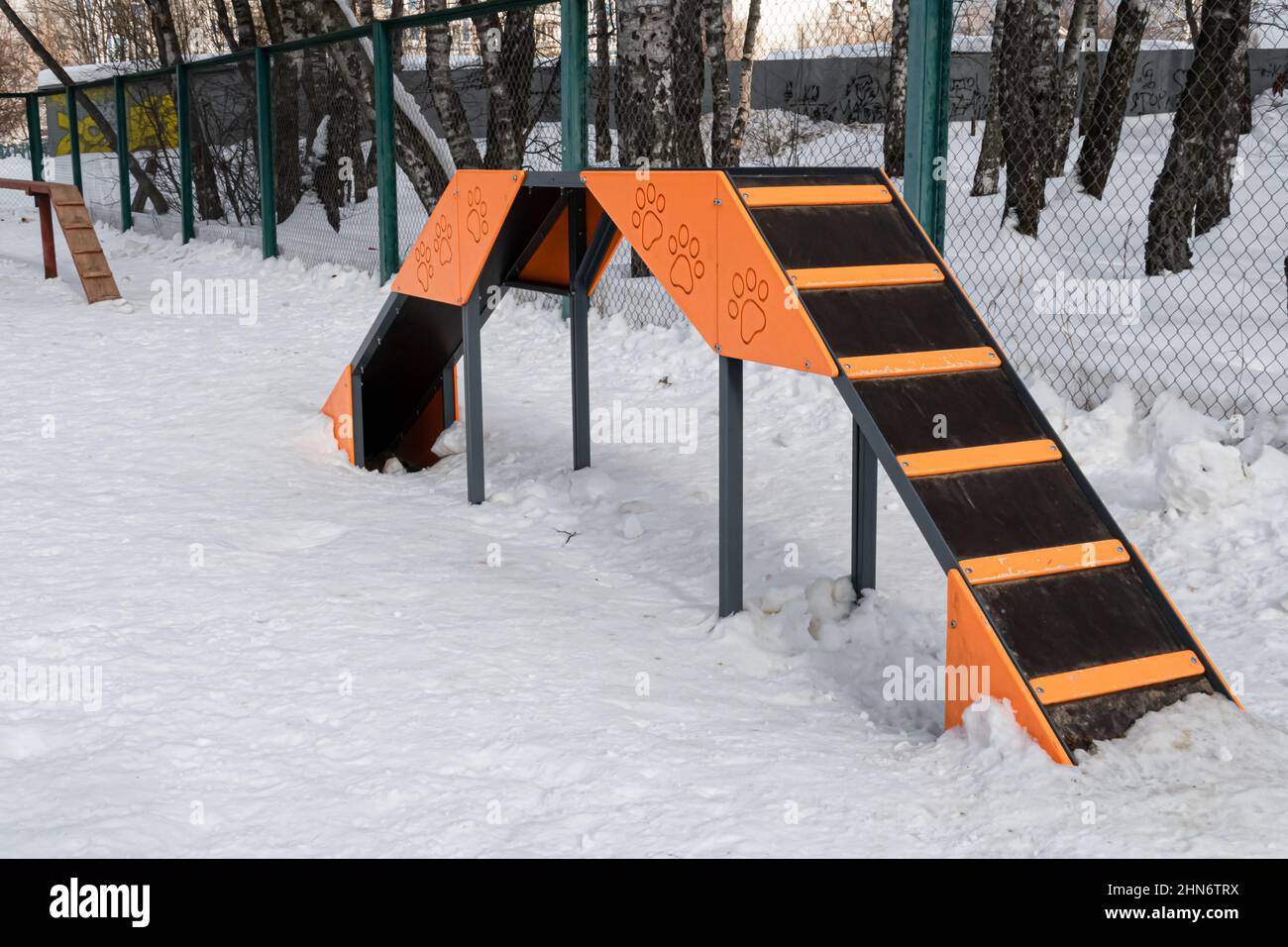 Moskau, Russland - 13. Februar 2022: Trainingsleiter für Hunde . Hochwertige Fotos Stockfoto