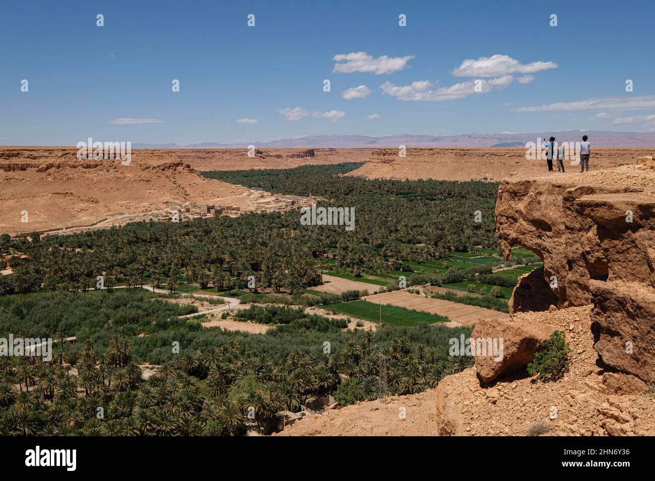 palmeral de Tafilalet, valle del río Ziz, Marruecos, Afrika Stockfoto