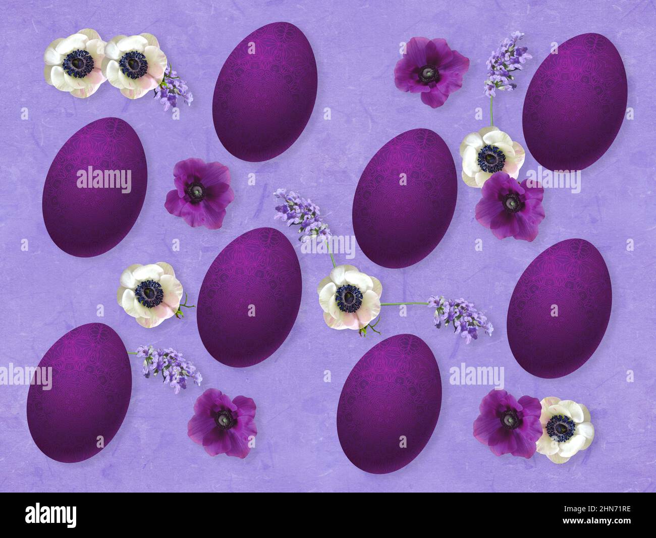 Ostern Komposition aus lila handbemalten Eiern, weißen und violetten Anemonen und Lavendelblüten. Kraftpapier Hintergrund in Lavendelblau Tönen. Stockfoto